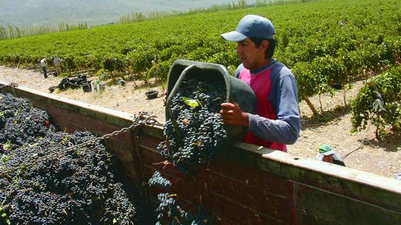 Al enoturismo le va a llevar un año recuperarse