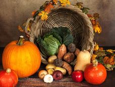 recetas con verduras de estacion: practicas, economicas y saludables recetas con verduras de estacion: practicas, economicas y saludables