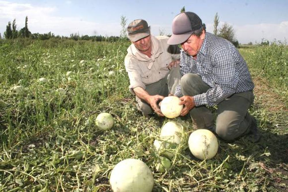 La emergencia agropecuaria es ley