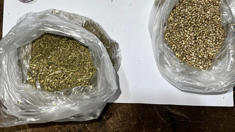 Las semillas de marihuana y el resto de las drogas secuestradas.