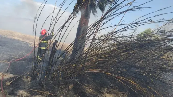 Temor por un incendio de pastizales que puso en riesgo dos viviendas