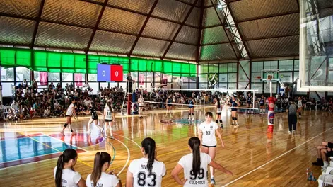 Espectáculo. El vóleibol formativo de la región tuvo su fiesta con la Copa Hugo Martín en Hispano.