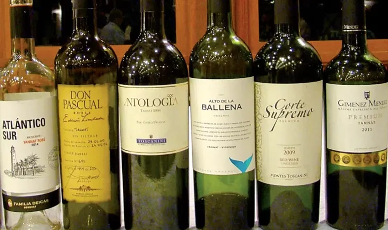 Hemisferio Sur: baja en el vino del 5,5%