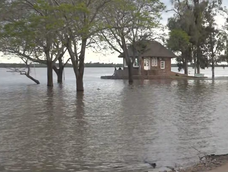 Temporal en el Litoral.