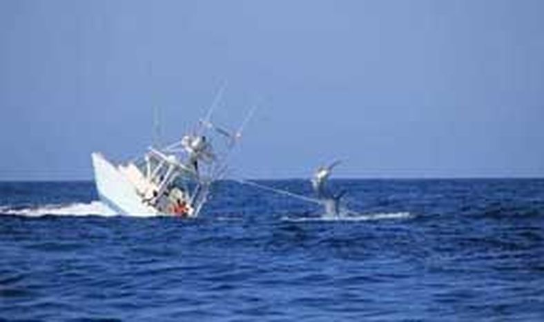 Pez hundió un barco