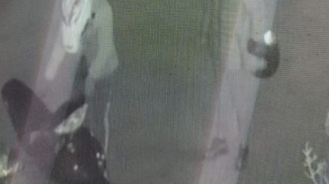En cuestión de minutos le robaron la moto a un joven delivery en Rawson