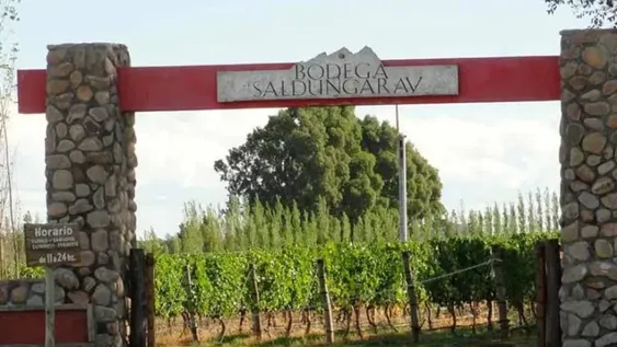 Buenos Aires busca recuperar la memoria como región vitivinícola