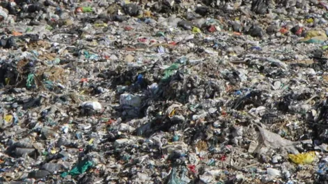 Diario de Cuyo | dcc070424 002f07_crop1712442777321.jpg_1199923512 728x728.webp