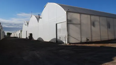 Fitotec: actualización permanente al servicio del productor agrícola