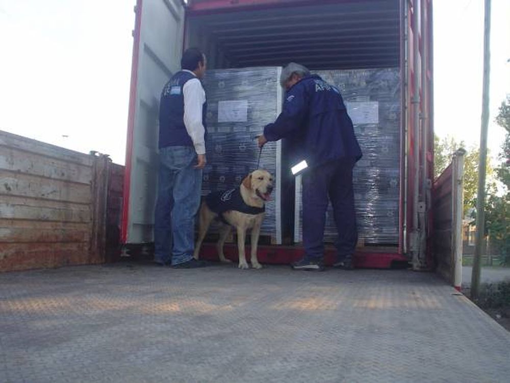 San Juan exporta U$S3.637 al mundo por cada habitante