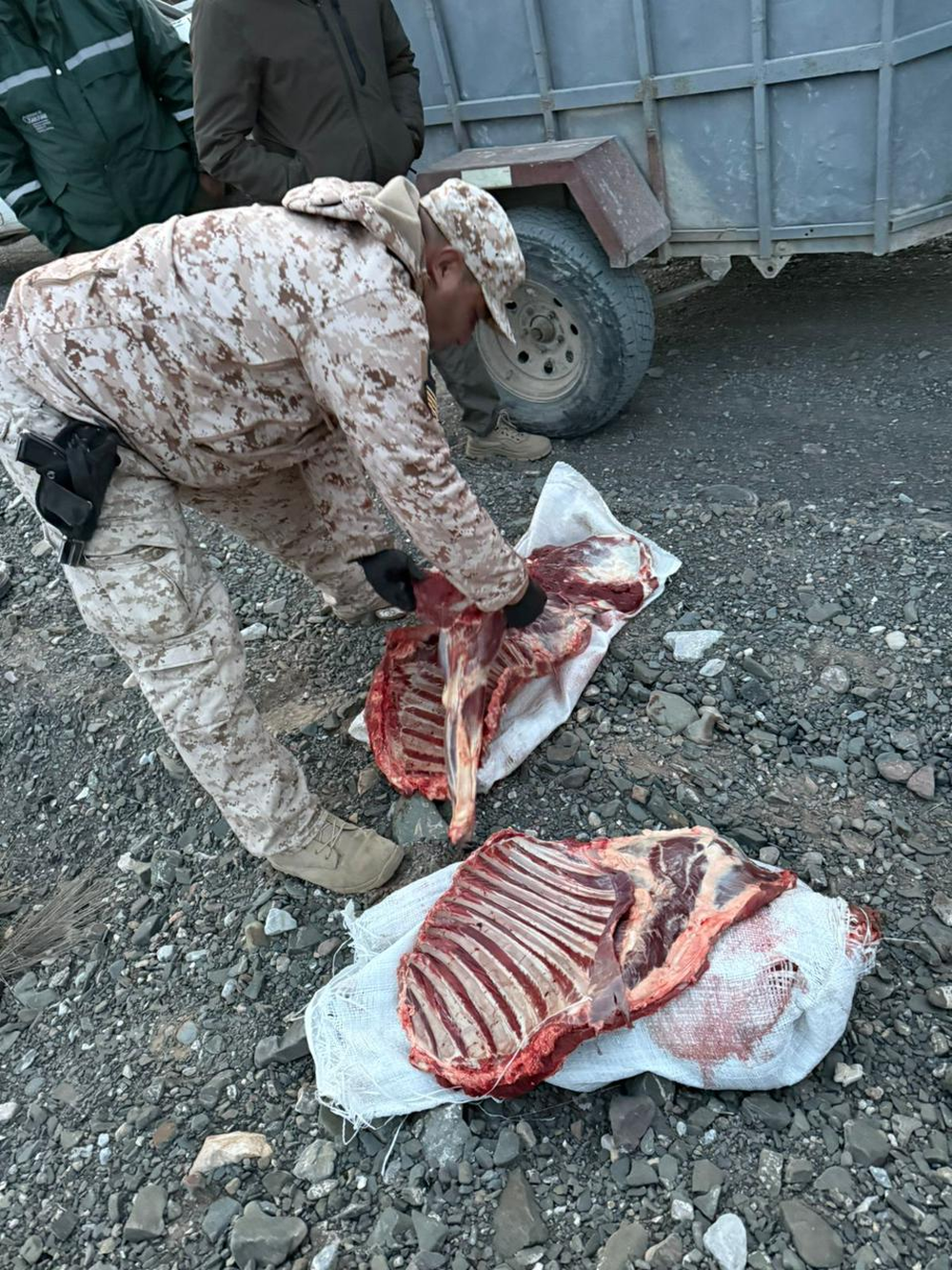 La Policía secuestró carne de guanaco durante un opertivo.