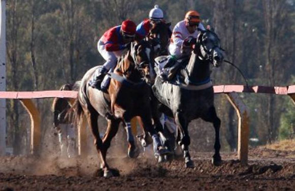 Fuerte Señal perdió por medio pescuezo