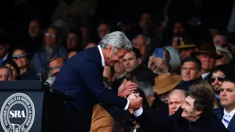 Cómo quedan las tasas para las exportaciones de carne, maíz, sorgo, girasol y soja