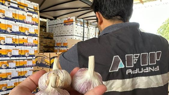 AFIP evitó la exportación fraudulenta de 75 toneladas de ajo en Mendoza y Misiones