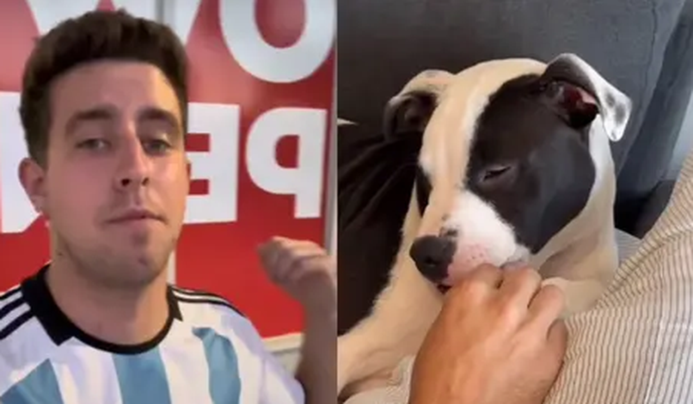 Un argentino llevó a su perra al veterinario en Miami y quedó asombrado por el precio