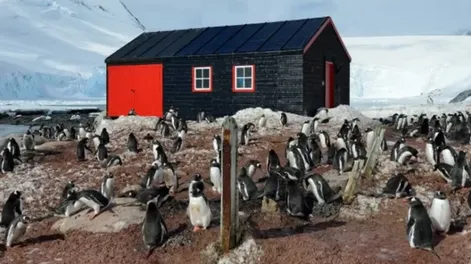 Récord de calor en la Antártida que inquieta al mundo científico