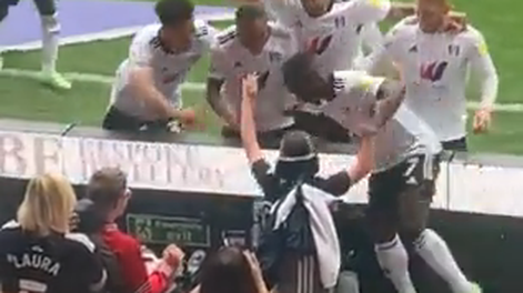 [VIDEO] Jugadores del Fulham festejaron un gol con un niño que sufrió bullying