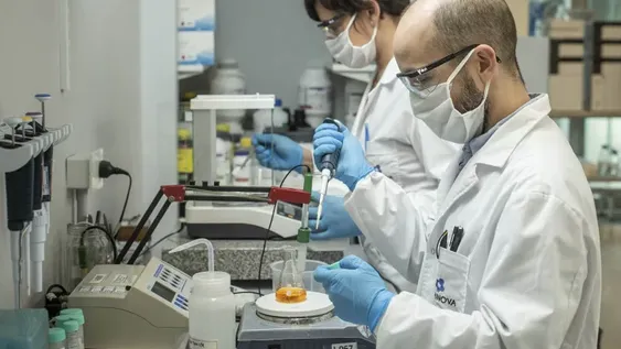 Aprueban ensayos con suero de caballo