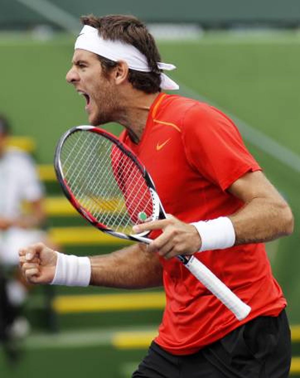 Del Potro, ante Nadal