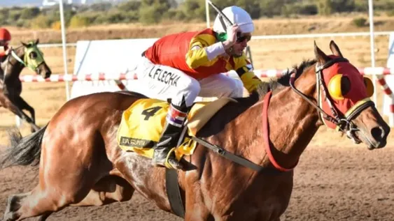 Caballos sanjuaninos coparon