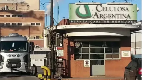 ¿EL FIN? Celulosa reportó pérdidas por $ 172.634 millones.