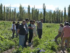En Iglesia se dictó la Diplomatura de Extensión en Huerta Agroecológica, de la UNSJ, en la que participaron 25 vecinos. En Iglesia se dictó la Diplomatura de Extensión en Huerta Agroecológica, de la UNSJ, en la que participaron 25 vecinos.