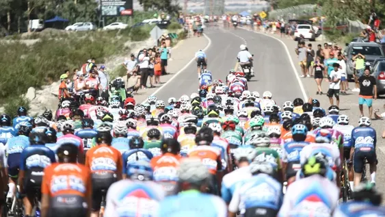 Hay bandera verde para la ruta