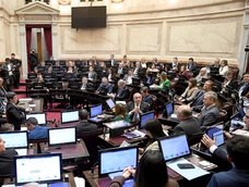 El Senado le dio media sanción a la ley de Propiedad Privada: el oficialismo debió quitar modificaciones a la ley de Tierras y cambios en el Manejo del Fuego