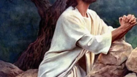 Reflexión espiritual del jueves 17 de junio: en la escuela de Jesús