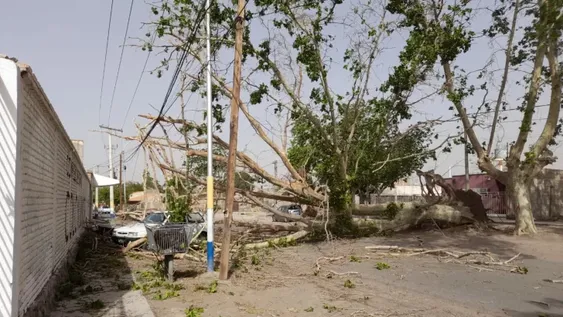 Un camionero muerto y daños materiales por fuerte temporal en Córdoba
