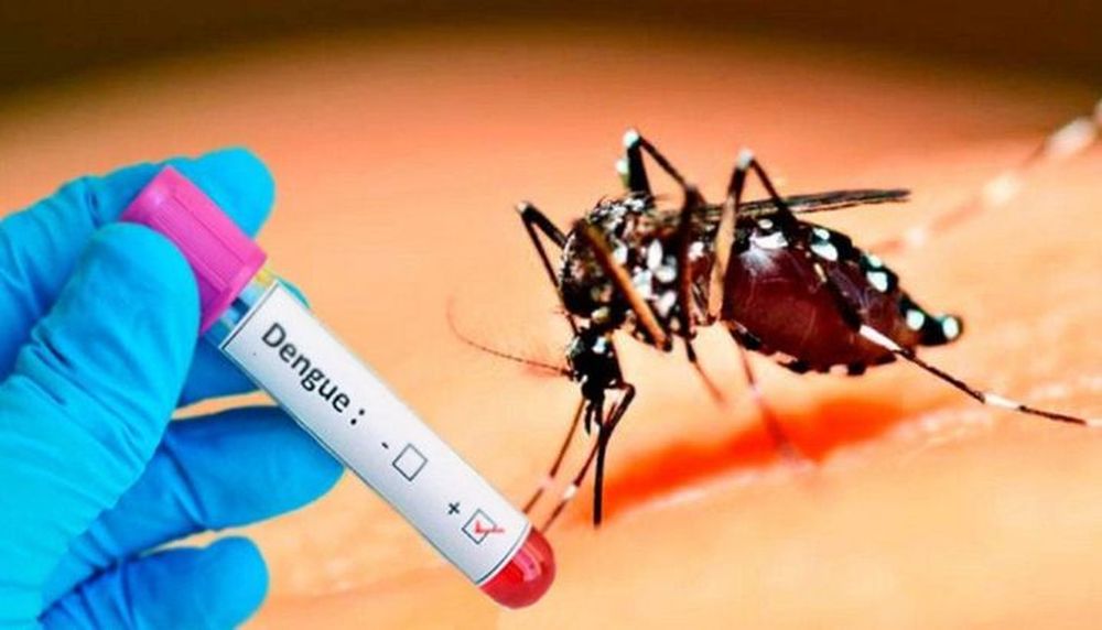 Hallan 13 casos de “coronadengue”