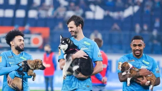 Jugadores salieron a la cancha con cachorritos para fomentar su adopción