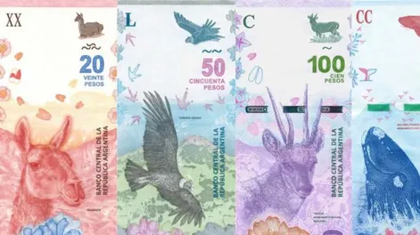 El lunes anunciarán modificaciones en los billetes: cambian animales por próceres