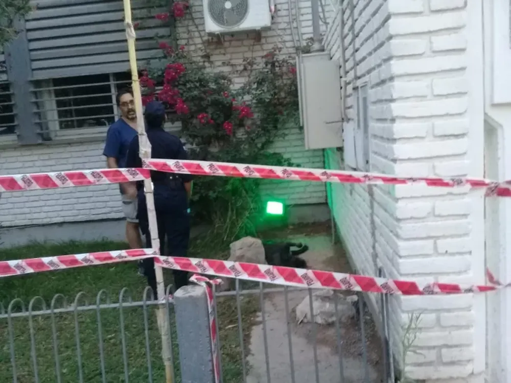 Un perro electrocutado al tocar una farola en la municipalidad de Jáchal