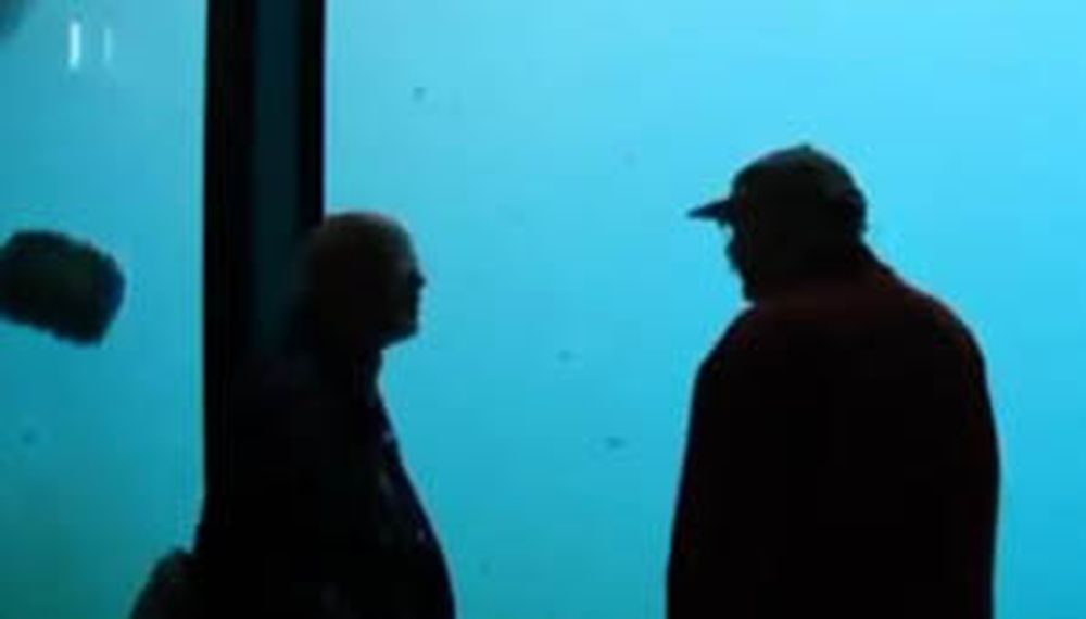 Pánico en un zoológico