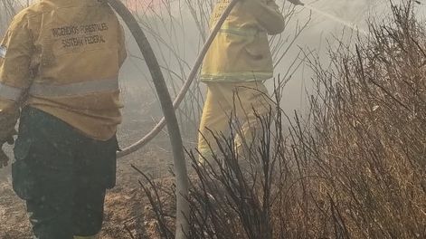 Un incendio arrasó unas 80 hectáreas y amenazó viviendas en Rawson