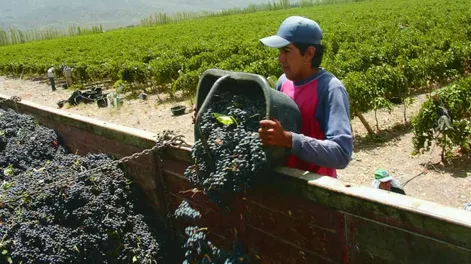 Marcha de la vendimia 2017