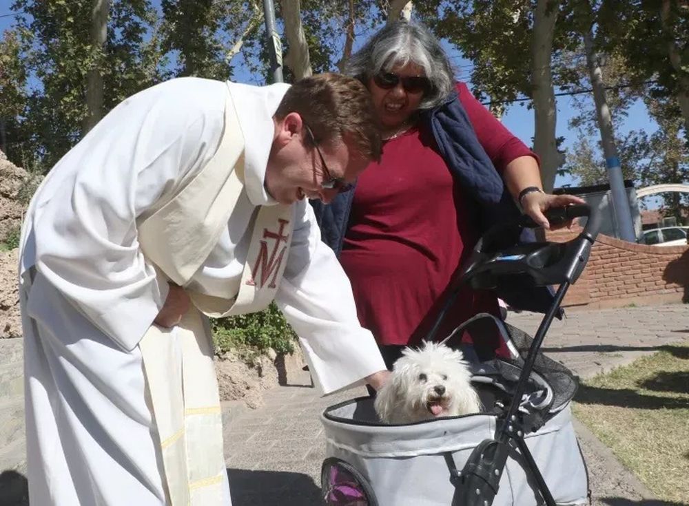 Perros, gatos y tortugas participaron de la bendición de mascotas en la Parroquia de Fátima.