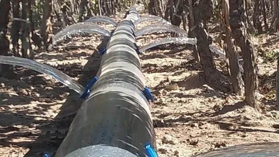 Suman ayudas para eficientizar el uso del agua para el riego