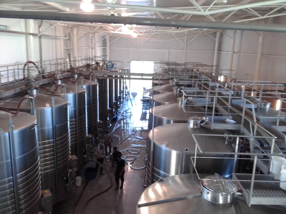 Buscan remediar suelos con plomo mediante una planta ornamental