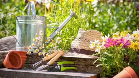 Diario de Cuyo | apertura_1_crop1696116535515 728x547.webp