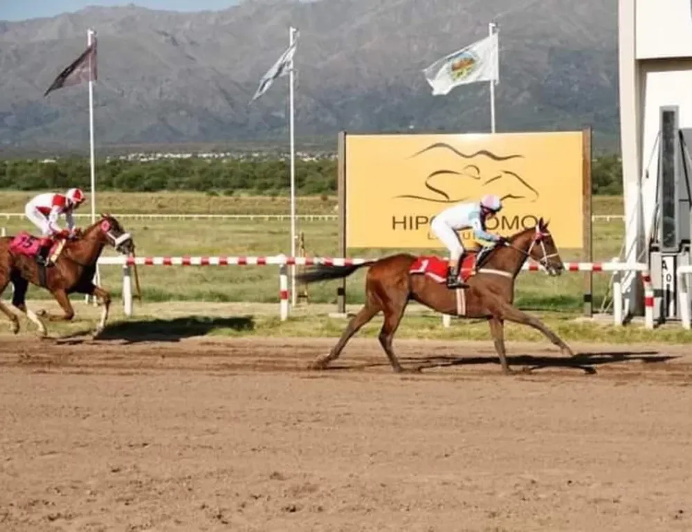 Elmaestrodelarte logró el póker de La Nona La Punta