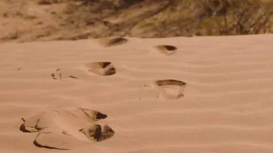 Martina Chapanay y Deolinda Correa: una historia de similitudes y diferencias