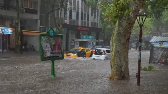 Una fuerte tormenta de lluvia, granizo y viento causó serios daños en varios departamentos de Mendoza