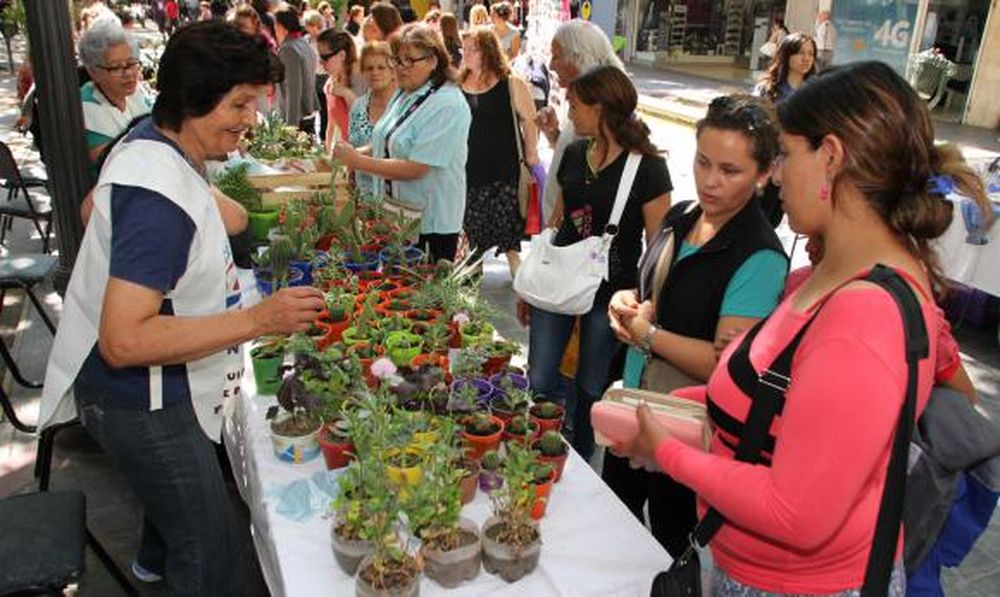 En los stands de Cáritas se logró un récord de ventas