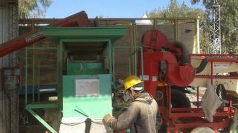 Actividades de la sede regional del Inase en San Juan