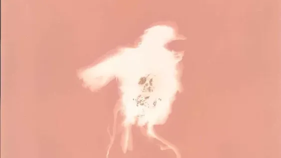 Sanjuaninos en carrera