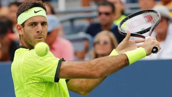 Del Potro subió dos lugares y ya está 30 en el ránking