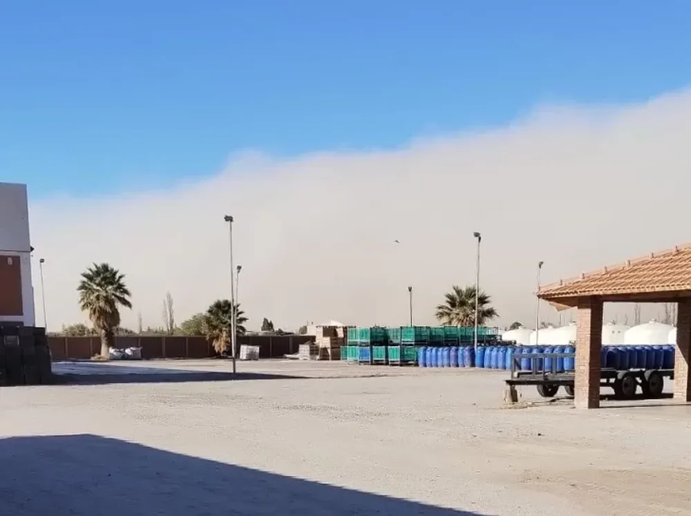 El tiempo en San Juan: máxima de 17° y la llegada de viento Sur por la tarde-noche
