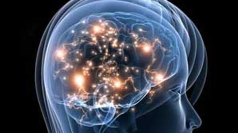 Cerebro digital